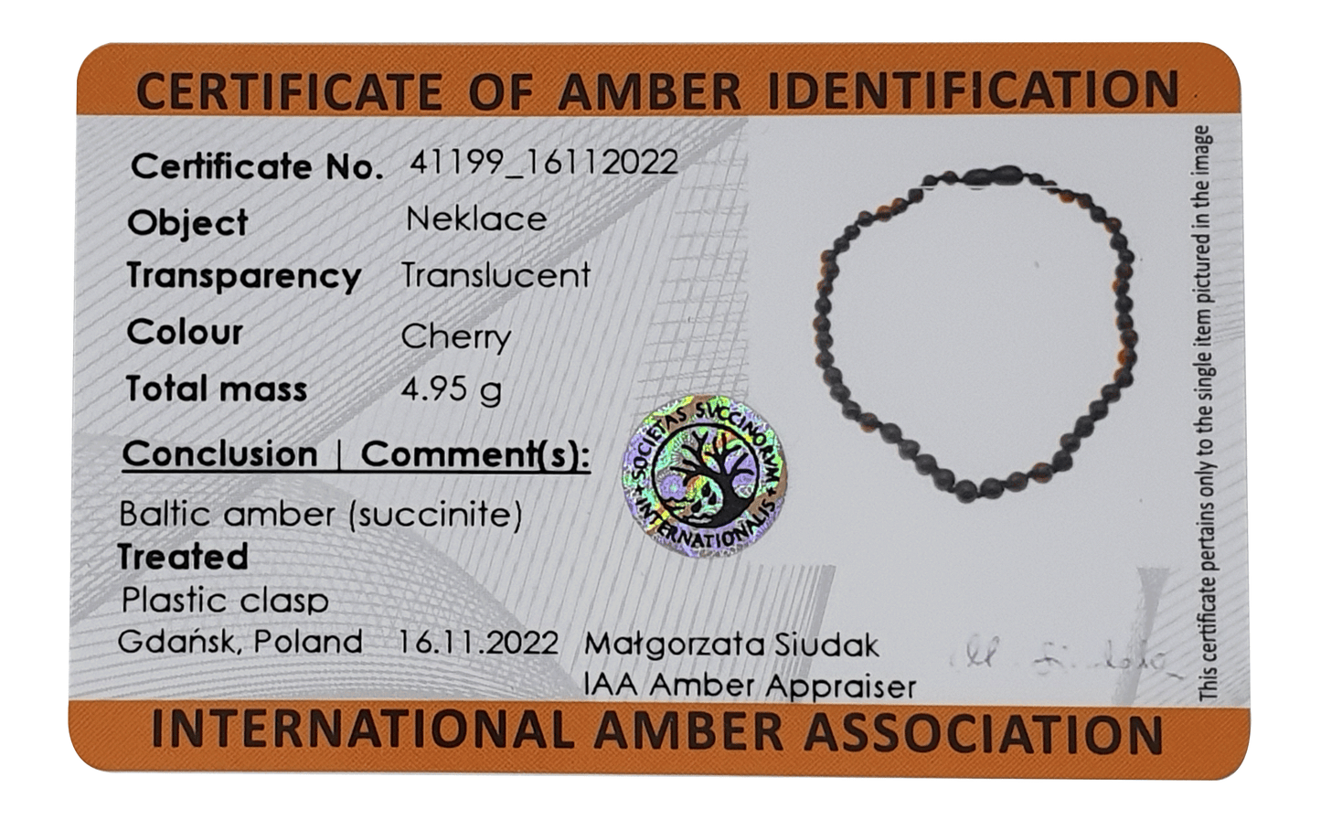 Genuine Amber Necklace Made With Polished Cherry Unpolished Cherry and Apatite